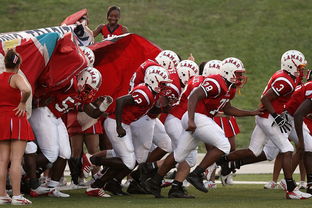 足球世俱杯-青少年体育参与行为及其影响机制探讨，青少年体育参与行为及其影响机制探讨论文