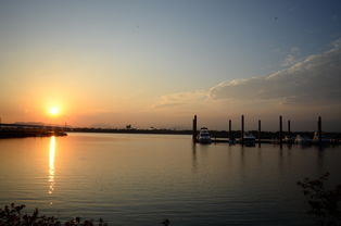 世俱杯对阵表-千帆竞发，轻艇马拉松点亮湖滨赛场，赛艇马拉松多少公里